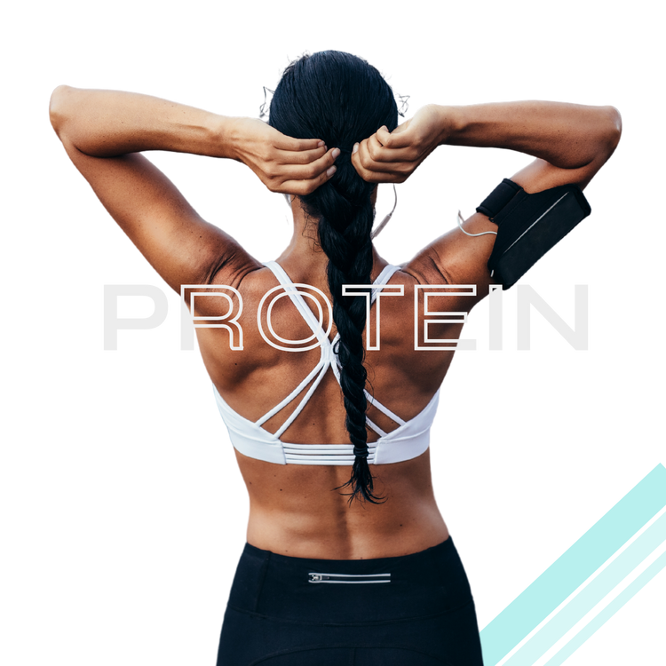 Boost your nutrition with PLDB5 Plant Protein